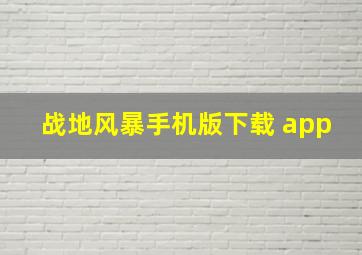 战地风暴手机版下载 app